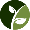 Ivy Trimming Service Pros