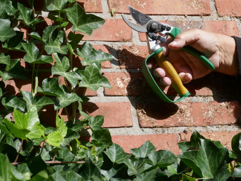Ivy Trimming Service