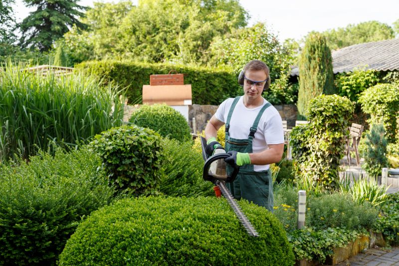 Ivy Trimming Service