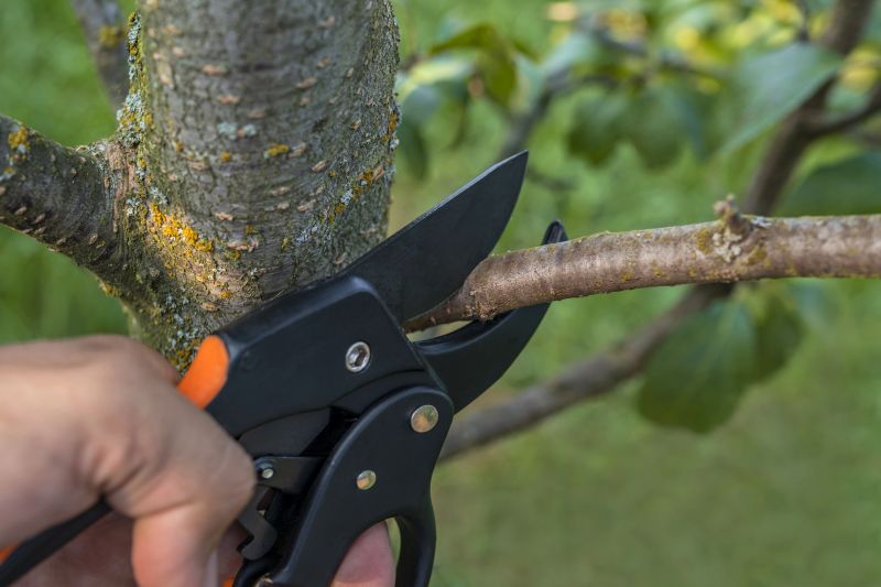 Ivy Trimming Service