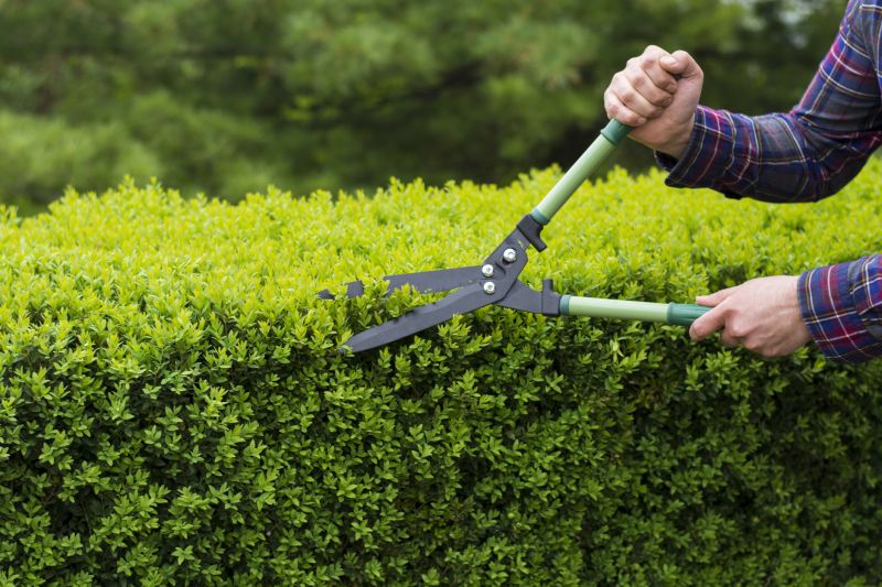 Ivy Trimming Tools